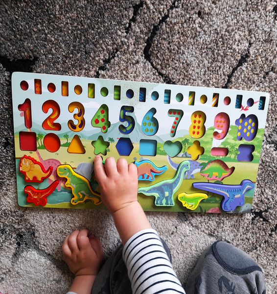 Montessori Dinosaurier, Dinosaurier Spielzeug, Spielzeug ab 3 Jahre, für  dein Kind nur das Beste ! – LuckyGrowing